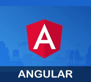 angular js-angular2-angular4-classes in pune