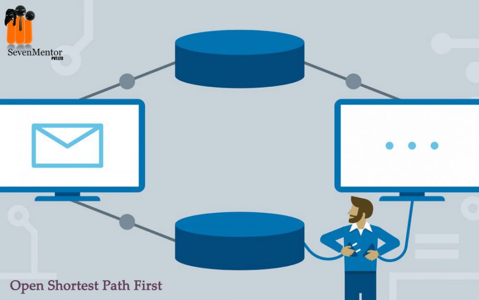 OSPF Special Area Types